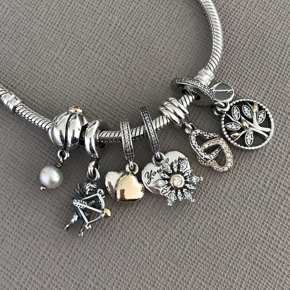 Pandora Two Tone Charms